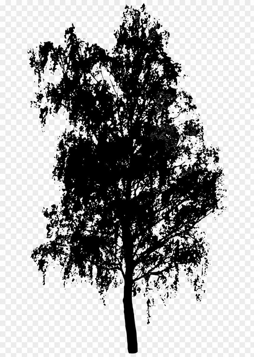 Banyan Tree Silhouette Shrub PNG