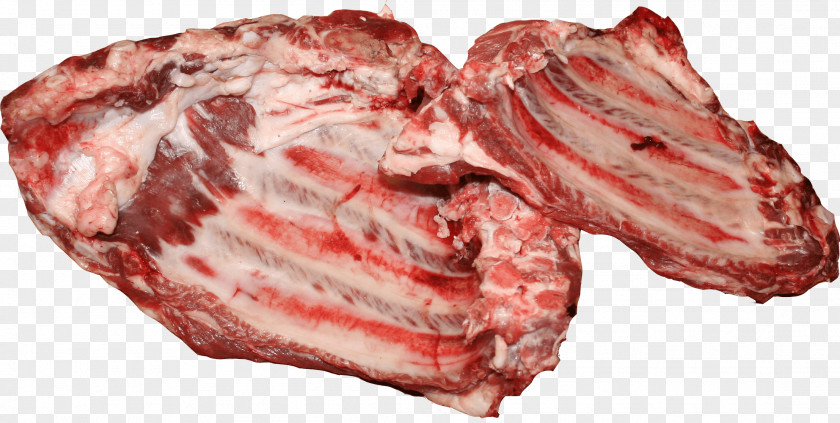 Barbecue Meat Steak Spare Ribs PNG