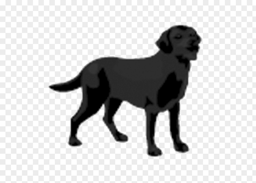 Dogs Labrador Retriever Flat-Coated Puppy Service Dog PNG