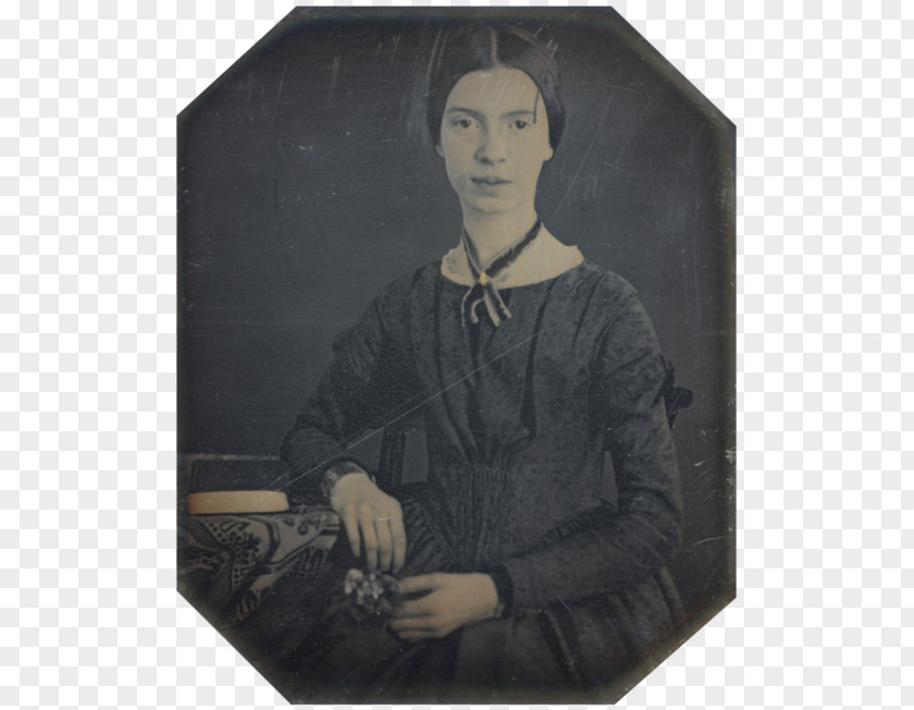 Emily Dickinson Amherst A Quiet Passion Poetry PNG