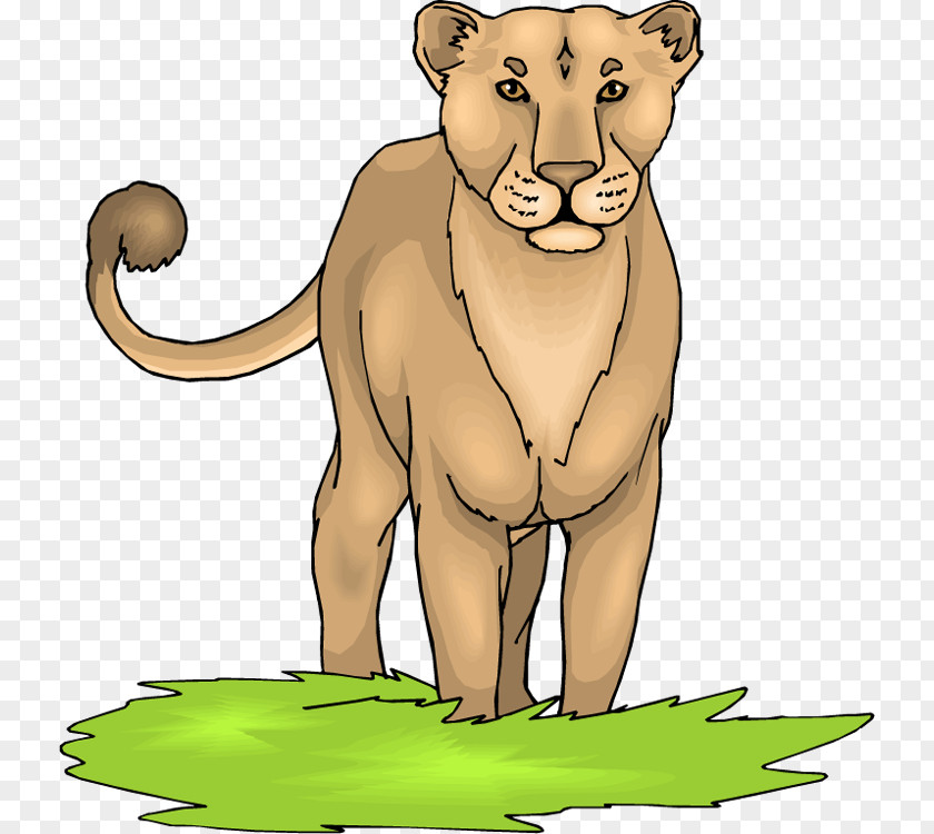 Lion Cougar Clip Art PNG