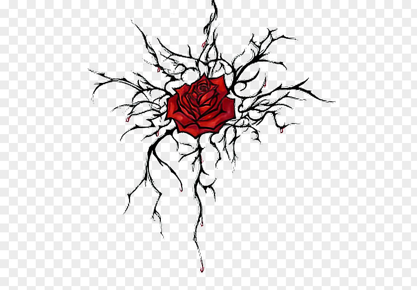 Rose Thorns, Spines, And Prickles Drawing Sketch PNG