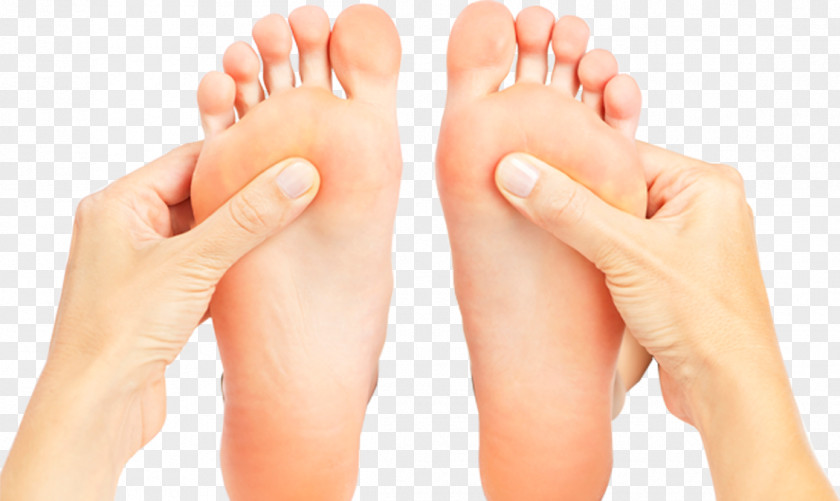 Ankle Pain Acupressure Acupuncture Reflexology Therapy Massage PNG