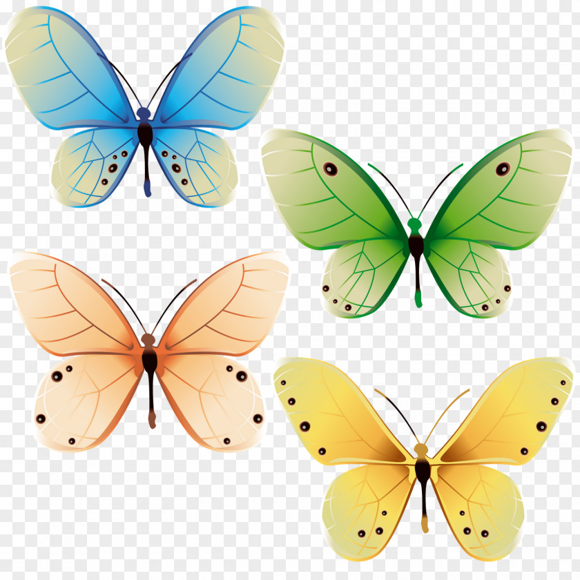 Beautiful Butterfly Art Clip PNG