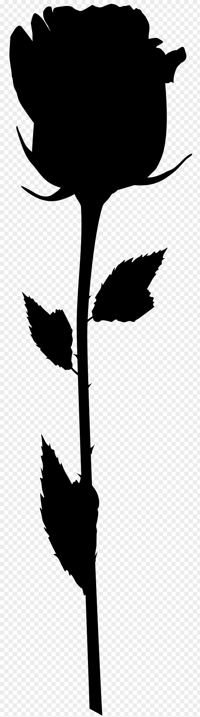Bird Flower Plant Stem Beak Leaf PNG