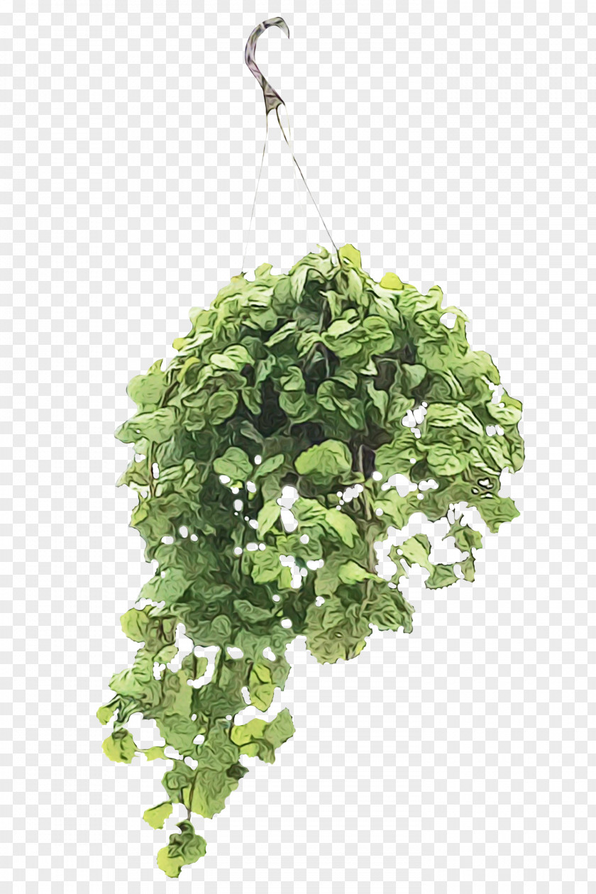 Leaf Flowerpot Herb Tree Branching PNG