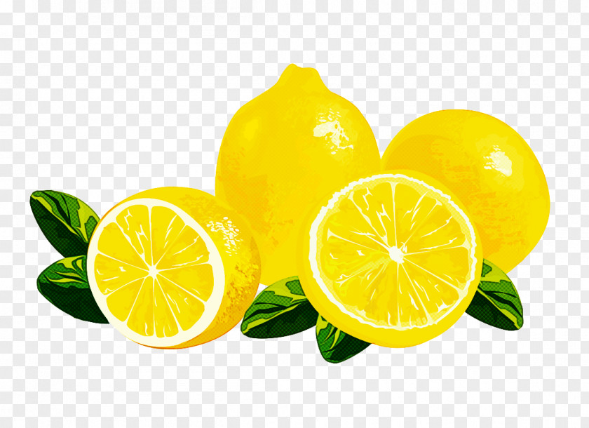 Lemon Citrus Lime Lemon-lime Persian PNG