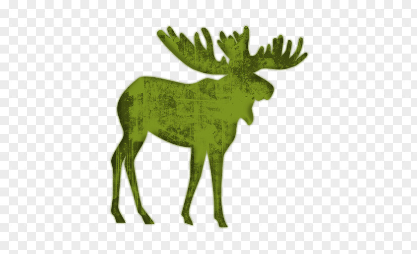Moose Animal Cliparts Free Content Clip Art PNG