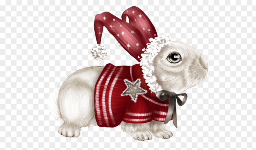 Rabbit Hare Centerblog Christmas Day PNG