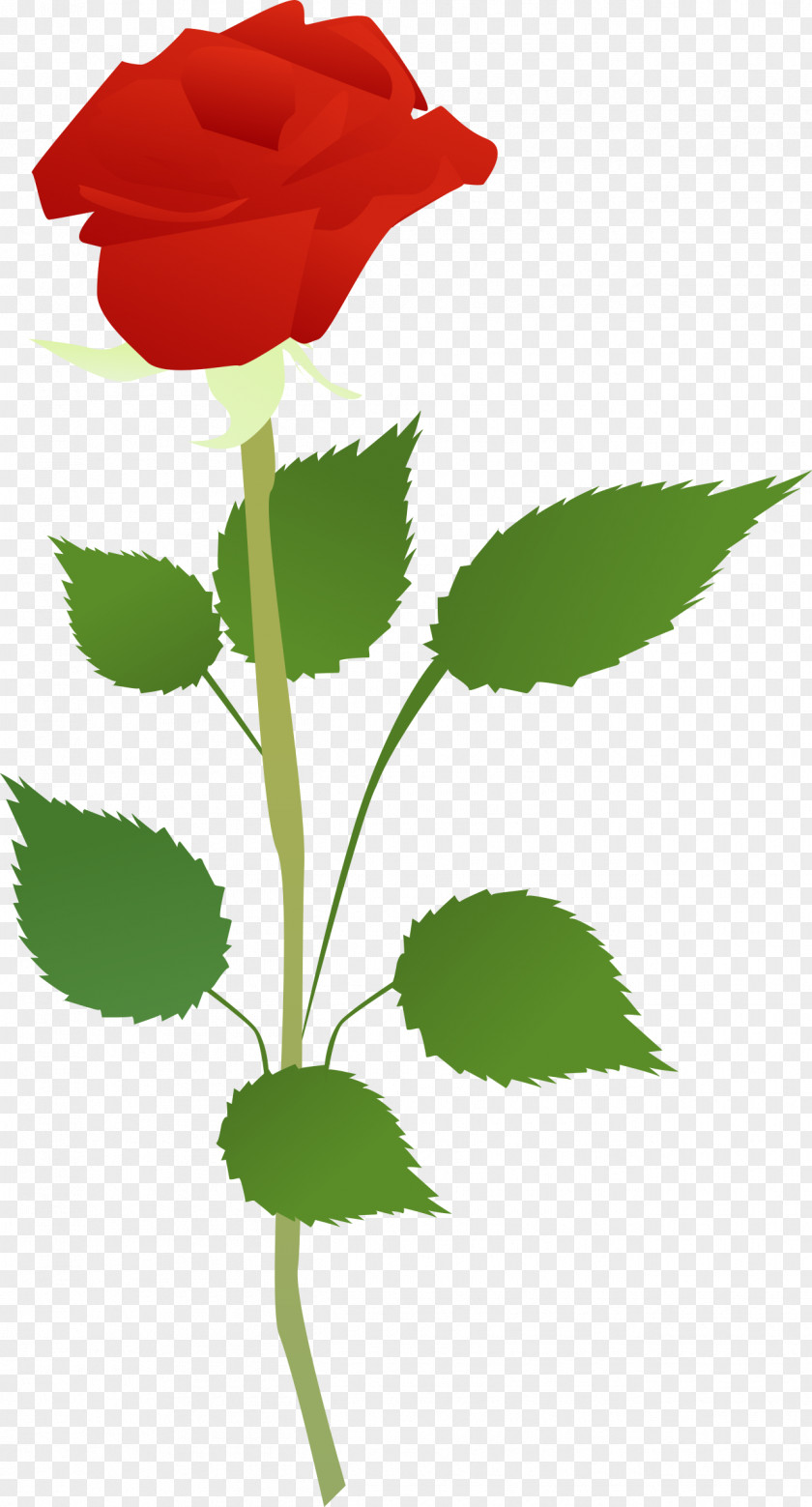 Rose Clip Art Openclipart Image Free Content PNG