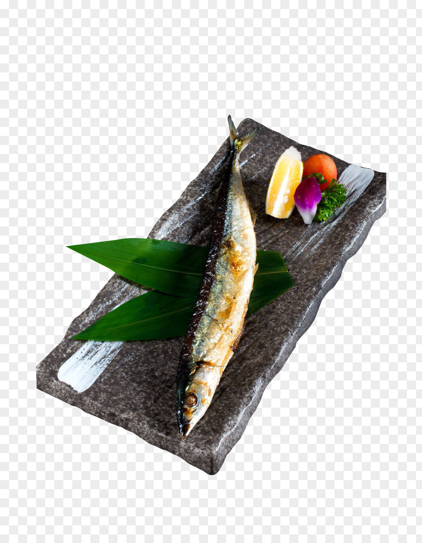 Saury Salt Grilled Japanese Cuisine Barbecue Pacific Atlantic Mackerel PNG
