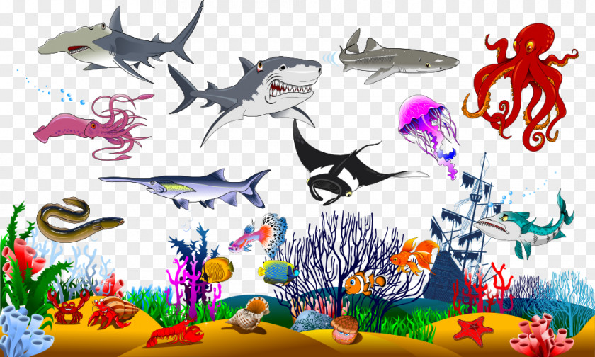 Vector Sea Creatures Shark Graphic Design Illustration PNG