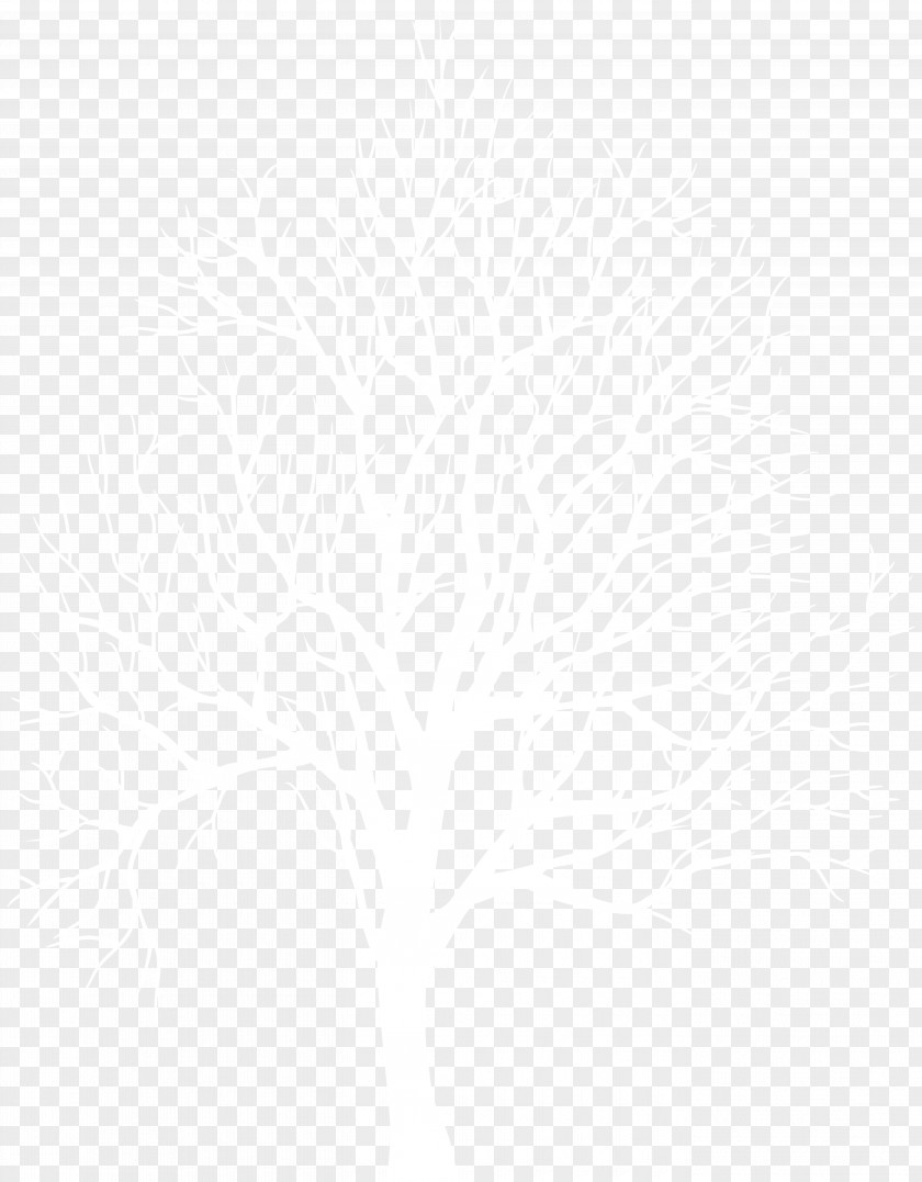 Winter Tree Silhouette Transparent Clip Art Image Black And White Line Point Angle PNG