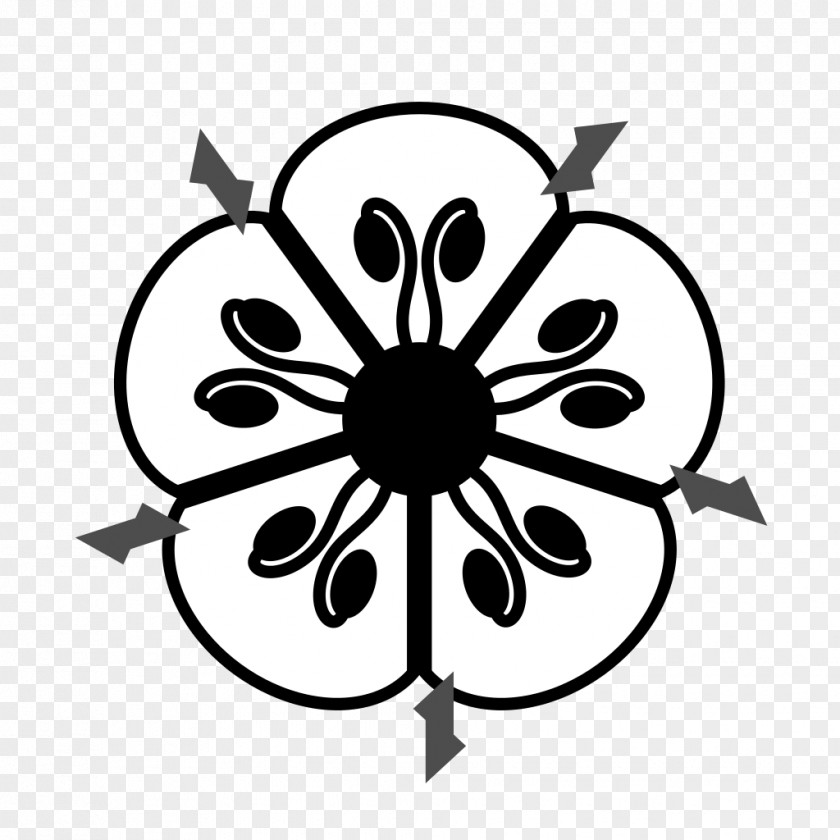 Flower Floral Diagram Sepal PNG