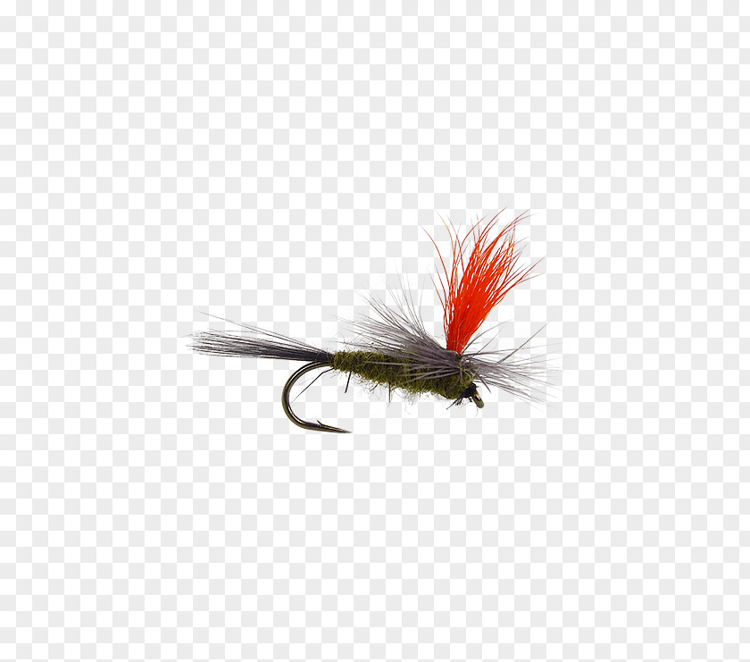 Fly Tying Artificial Fishing Hackles Insect PNG