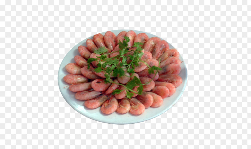 Salt Baked Shrimp Pictures Caridea Mettwurst Knackwurst PNG