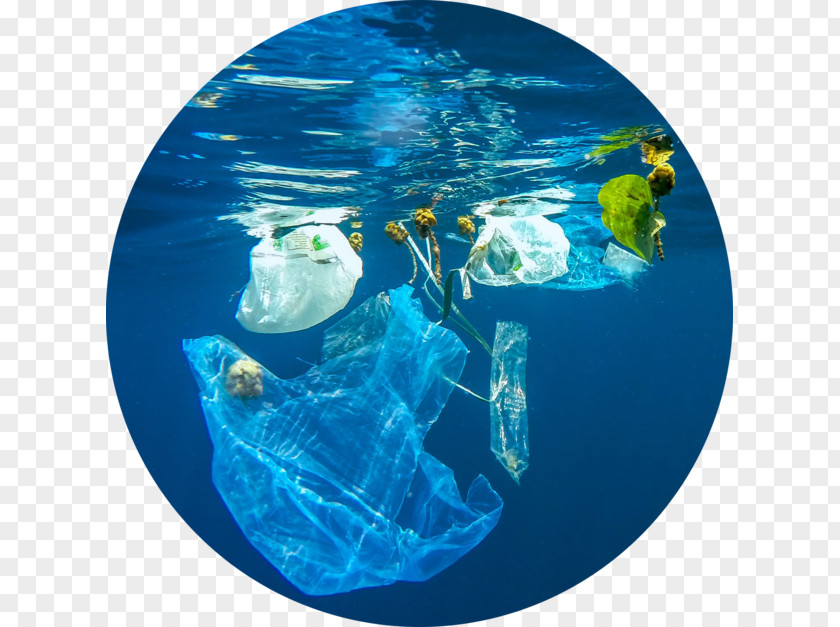 Sea World Ocean Plastic Pollution Waste Marine Debris PNG