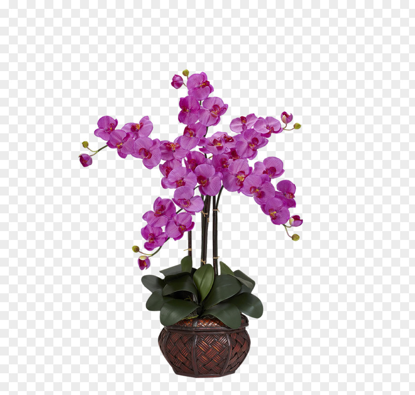 Vase Moth Orchids Artificial Flower PNG