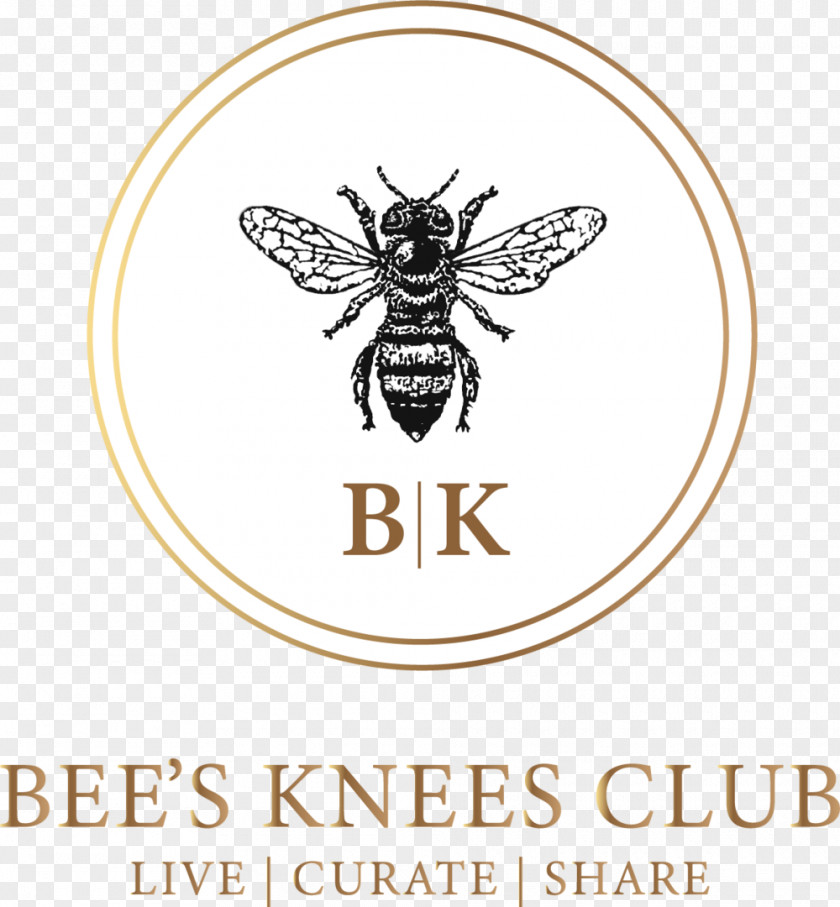 Bee Honey Logo Brand PNG