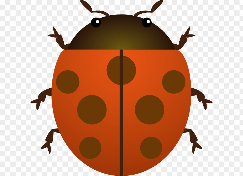 Beetle Ladybird Clip Art PNG