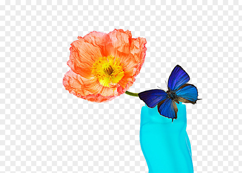 Butterfly Flowers Flower PNG