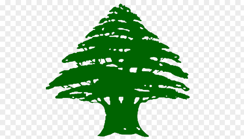 Flag Of Lebanon T-shirt President PNG