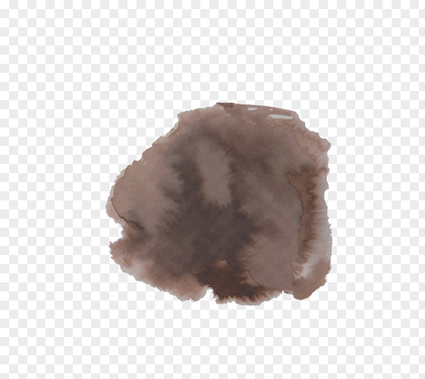 PATAS Fur PNG