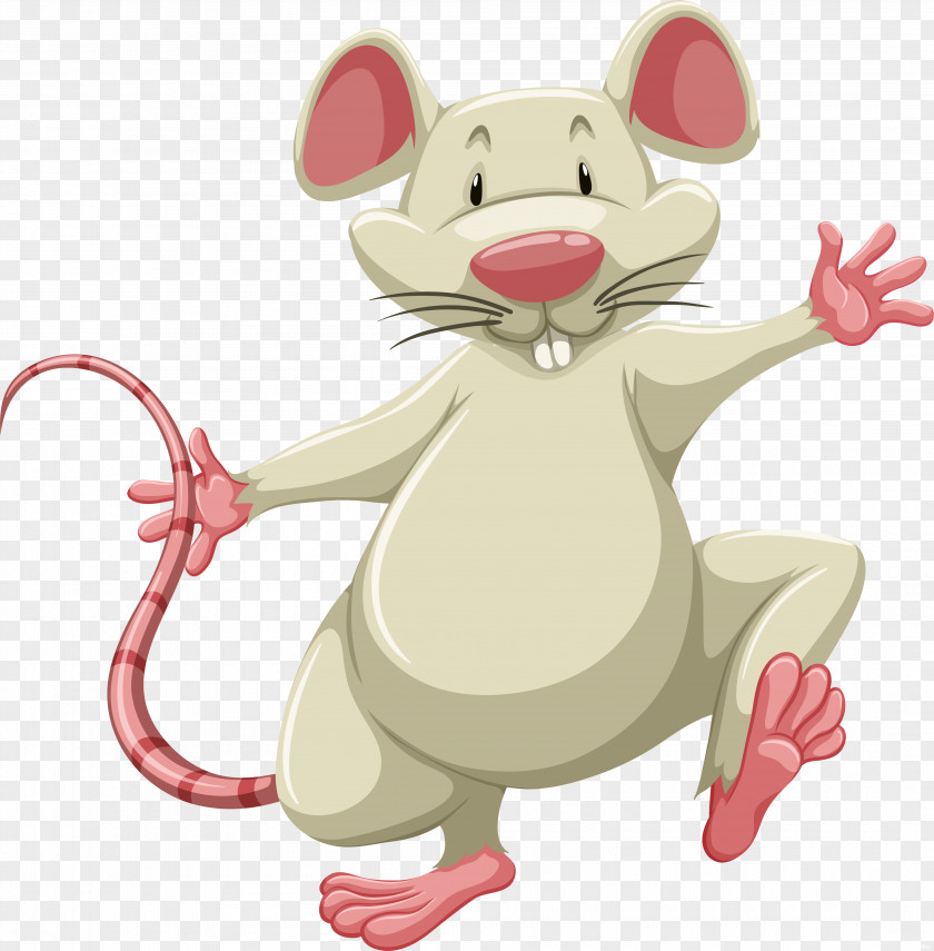 Rat Flashcard Clip Art PNG
