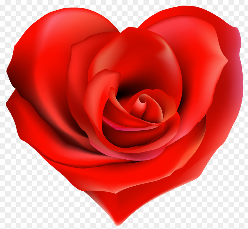 Red Rose Decorative Garden Roses Heart Valentine's Day Clip Art PNG