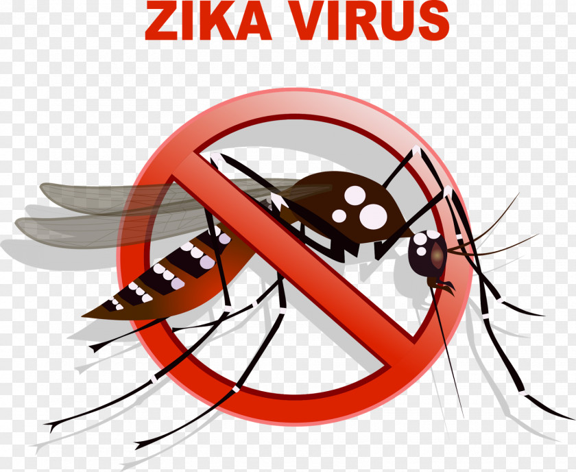 Vector Yellow Fever Mosquito Zika Virus Dengue PNG