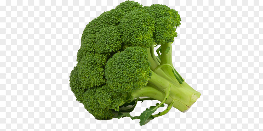 Broccoli Cruciferous Vegetables Cauliflower Kale PNG