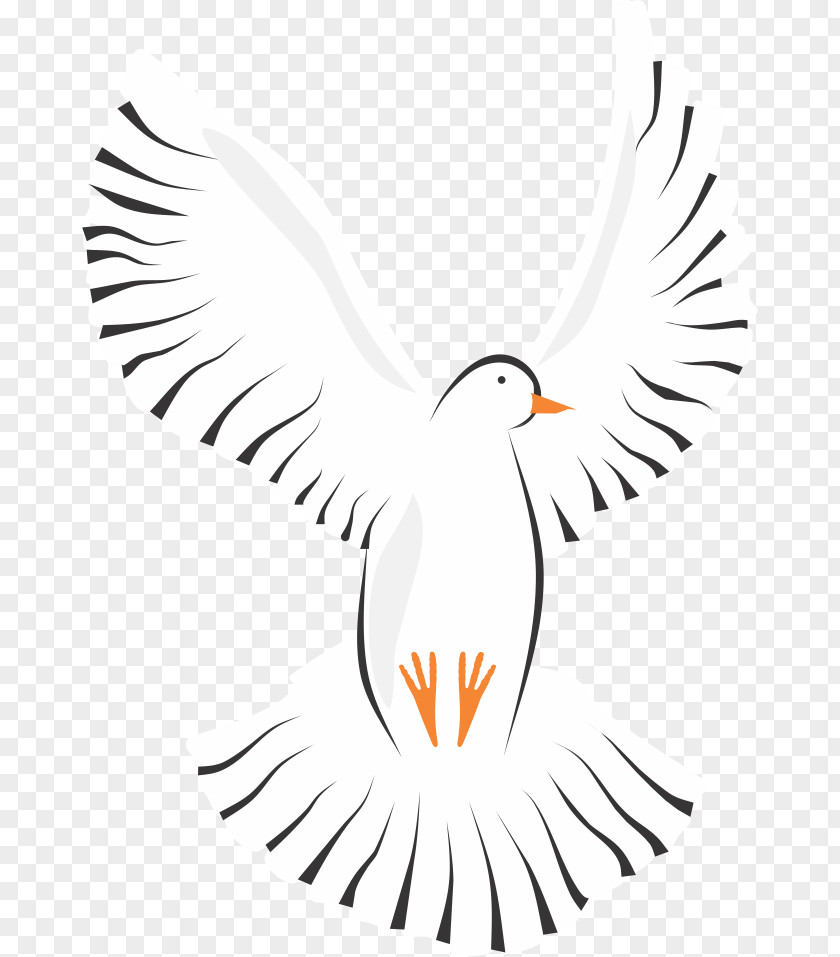Columbidae Homing Pigeon Clip Art PNG