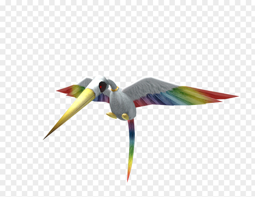 Falco Smash Bros Brawl Macaw Parakeet Beak Fauna Hummingbird M PNG