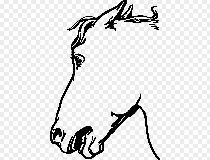 Horse Donkey Foal Clip Art PNG