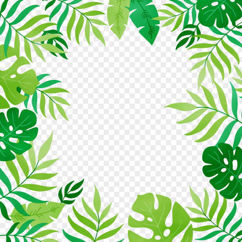 Jungle Vascular Plant Green Leaf Background PNG