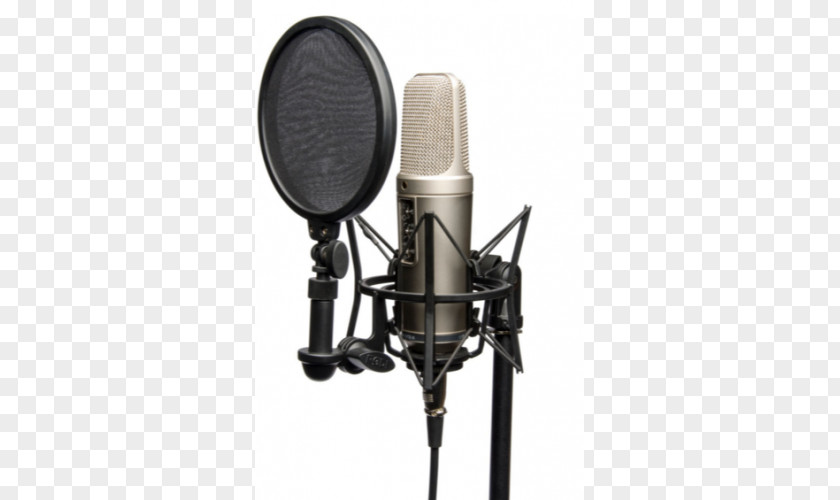 Microphone Røde Microphones RØDE NT2-A Shock Mount Recording Studio PNG