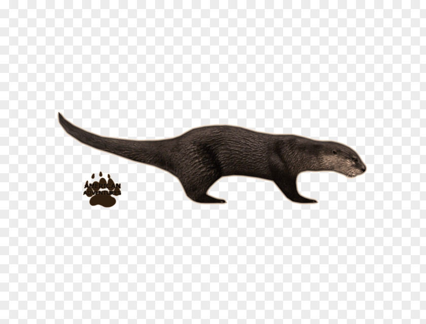 Otter Zoo Tycoon 2 Sea PNG