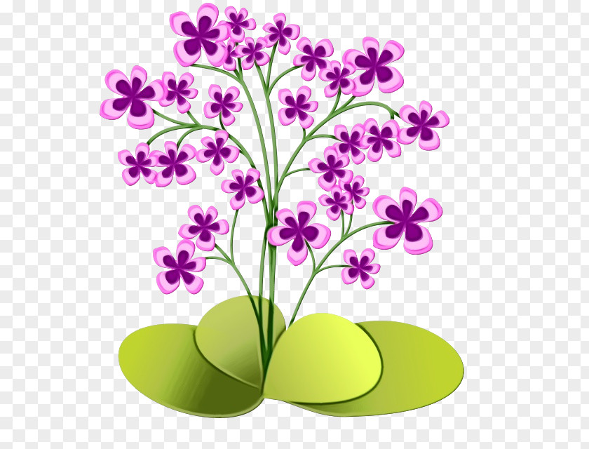 Petal Wildflower Flower Plant Clip Art Flowering Stem PNG