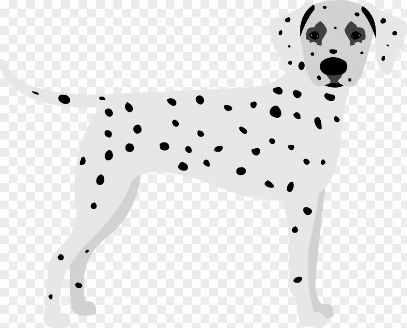 Snout Nonsporting Group Dog Dalmatian Animal Figure Non-sporting PNG
