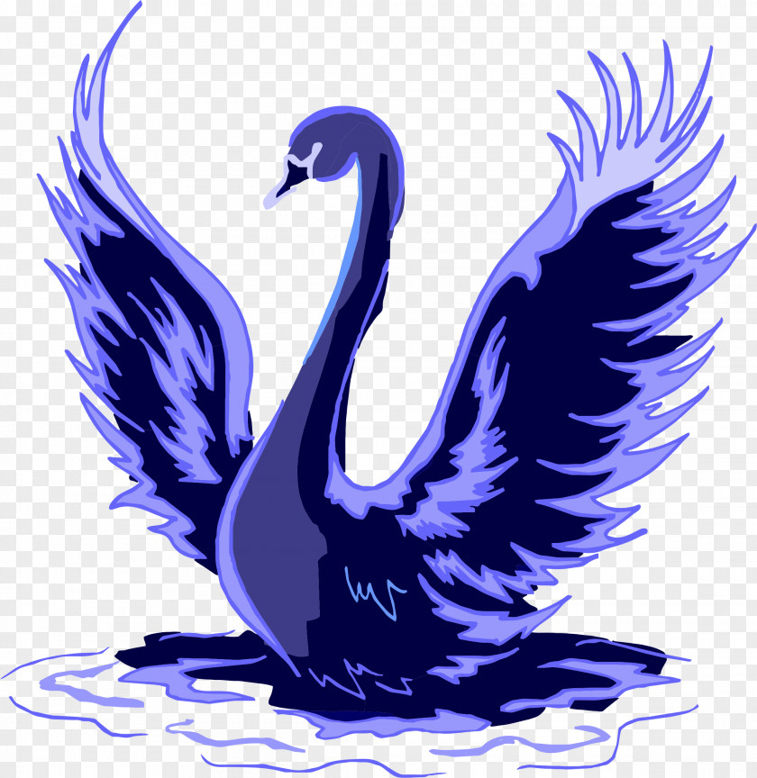 Swan Black Trumpeter Bird Clip Art PNG