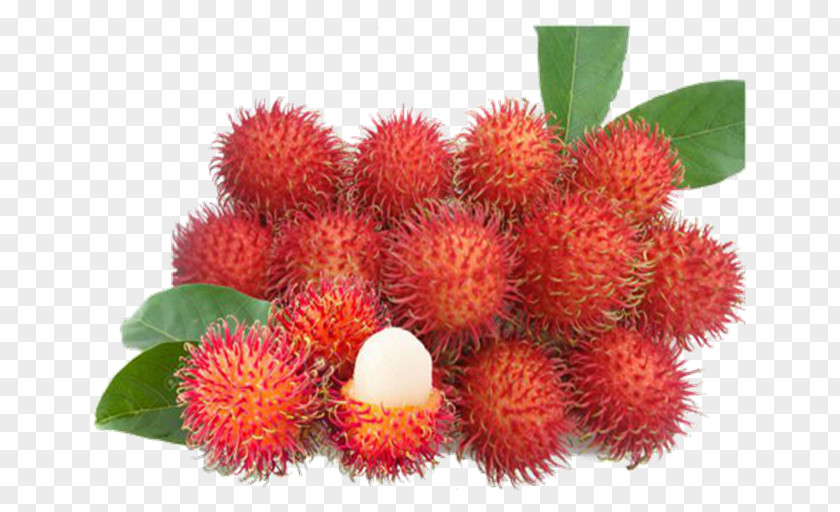 Thai Fruit Rambutan Giant Granadilla Pitaya Tree PNG