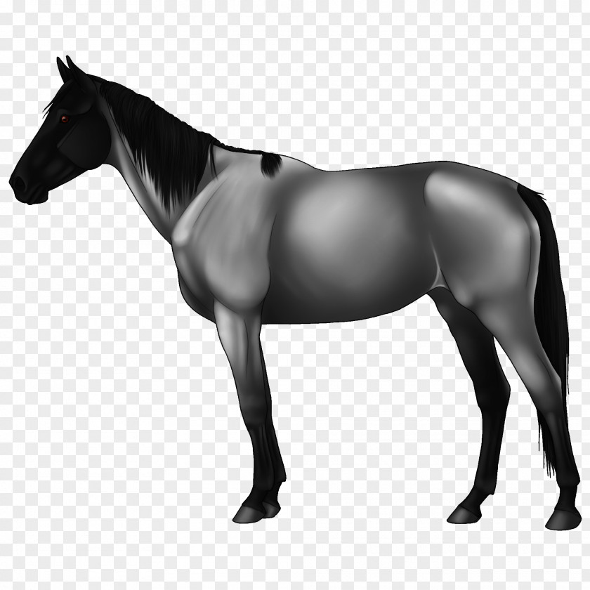 Flea Market Horse Mule Stallion Pony Mare PNG