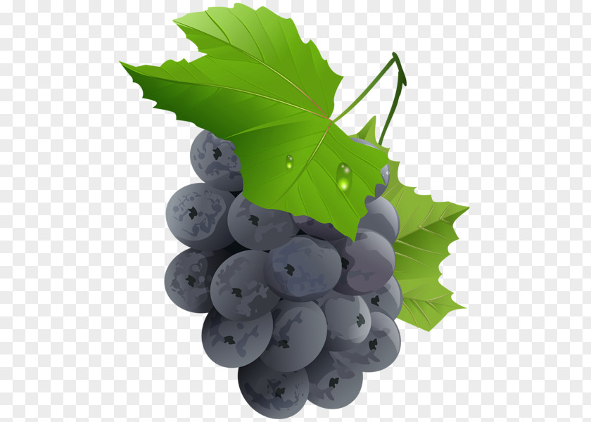 Grape Fruit Clip Art PNG