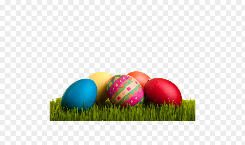 Grassy Egg Easter Bunny Chicken PNG