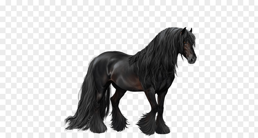 Quarter Horse Mane Mustang Stallion Mare Pony PNG