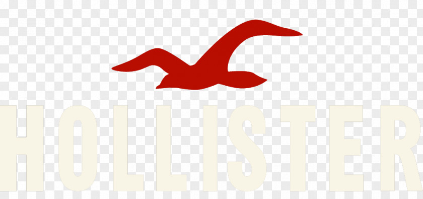 Hollister Jeans For Women Logo Font Brand PNG