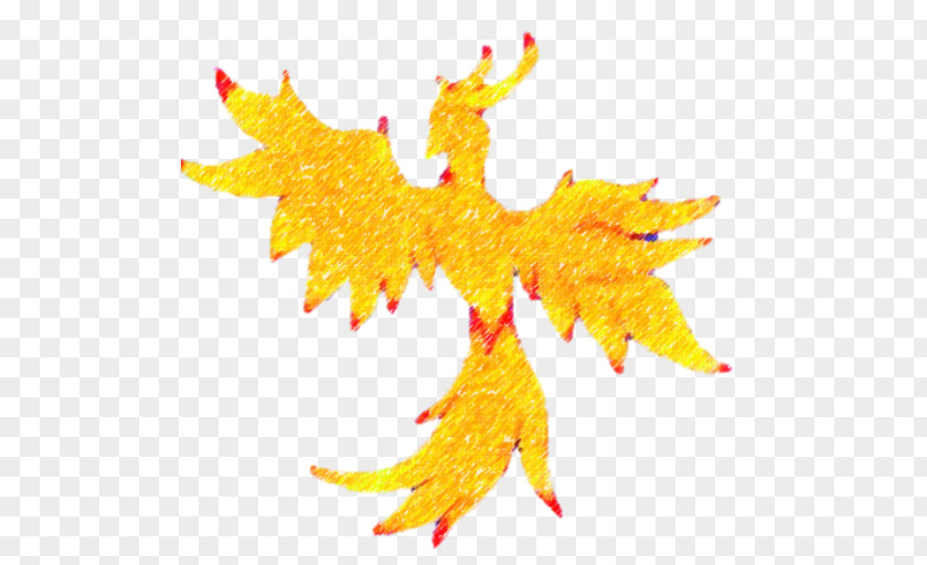 Phoenixfire Solutions Maple Leaf PNG