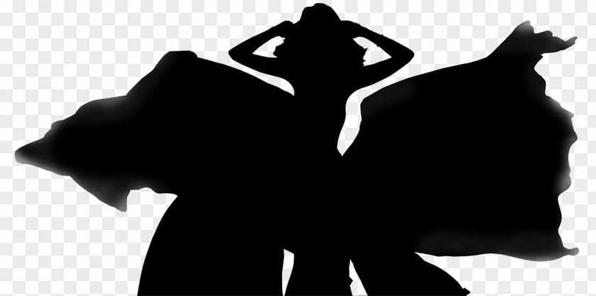 Pictures Of Beauticians Gran Canaria Bear Black Silhouette White PNG