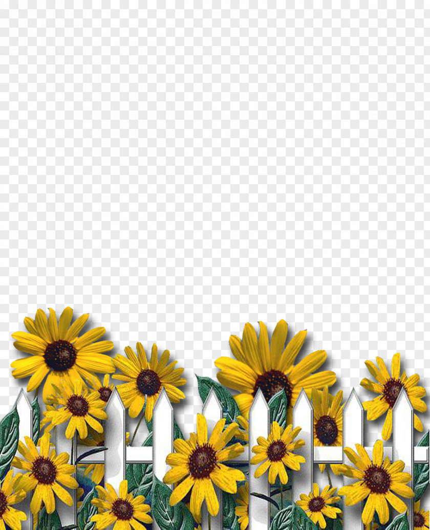 Sunflowers Letter Case Alphabet English PNG
