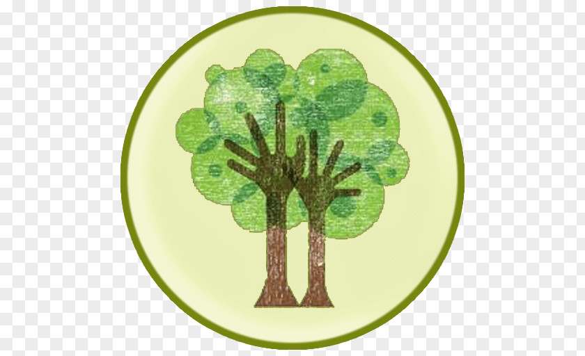 Tree Logo Trunk Branch PNG